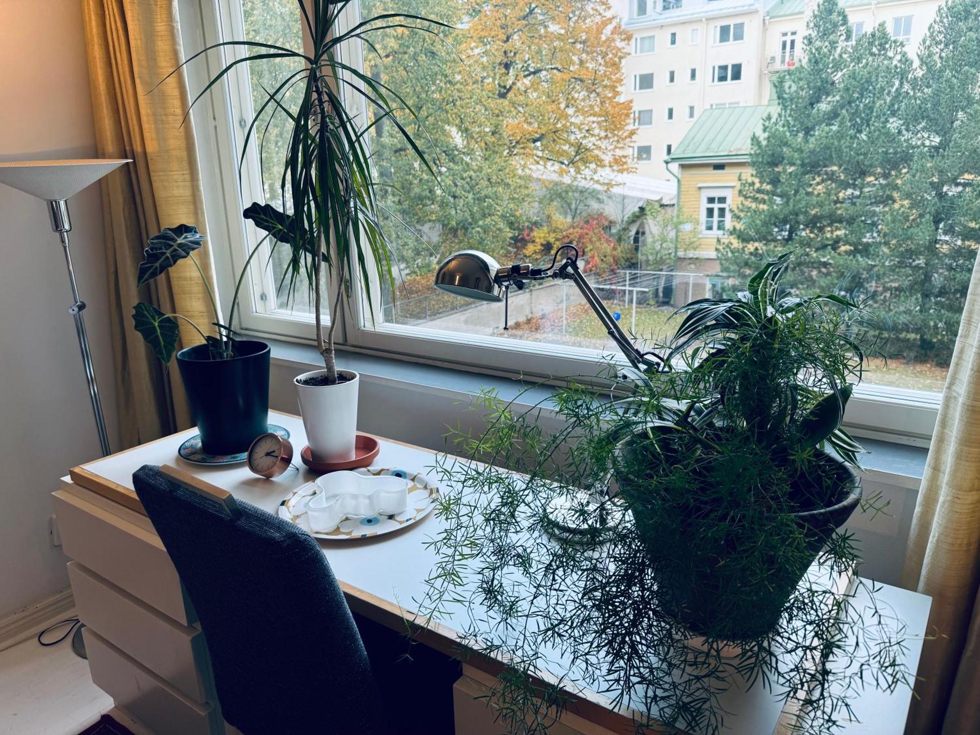 Lovely Apartment, Vuorimiehenkatu 31 Helsinki Exterior foto